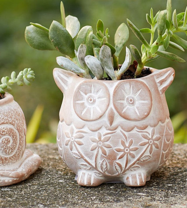 owl plant pot Owl Planter – Shop Kizuri