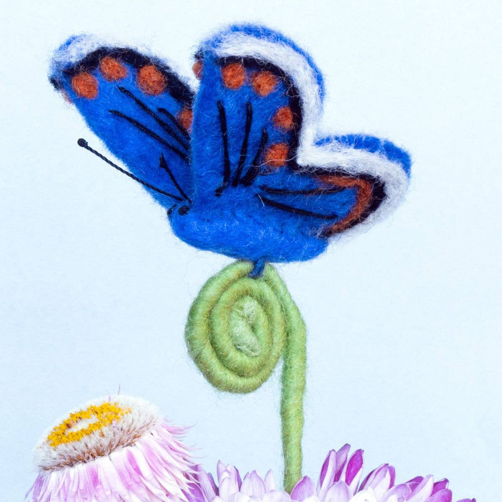 
                
                    Load image into Gallery viewer, Frond Friends
                
            