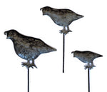 Quail Garden Stakes