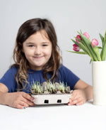 Egg Dyeing & Grass Growing Kit
