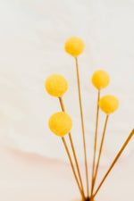 Billy Ball Felt Flowers
