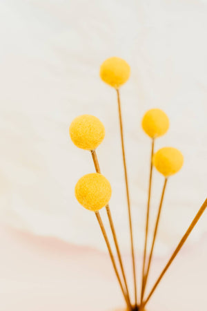 Billy Ball Felt Flowers