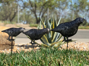 Quail Garden Stakes