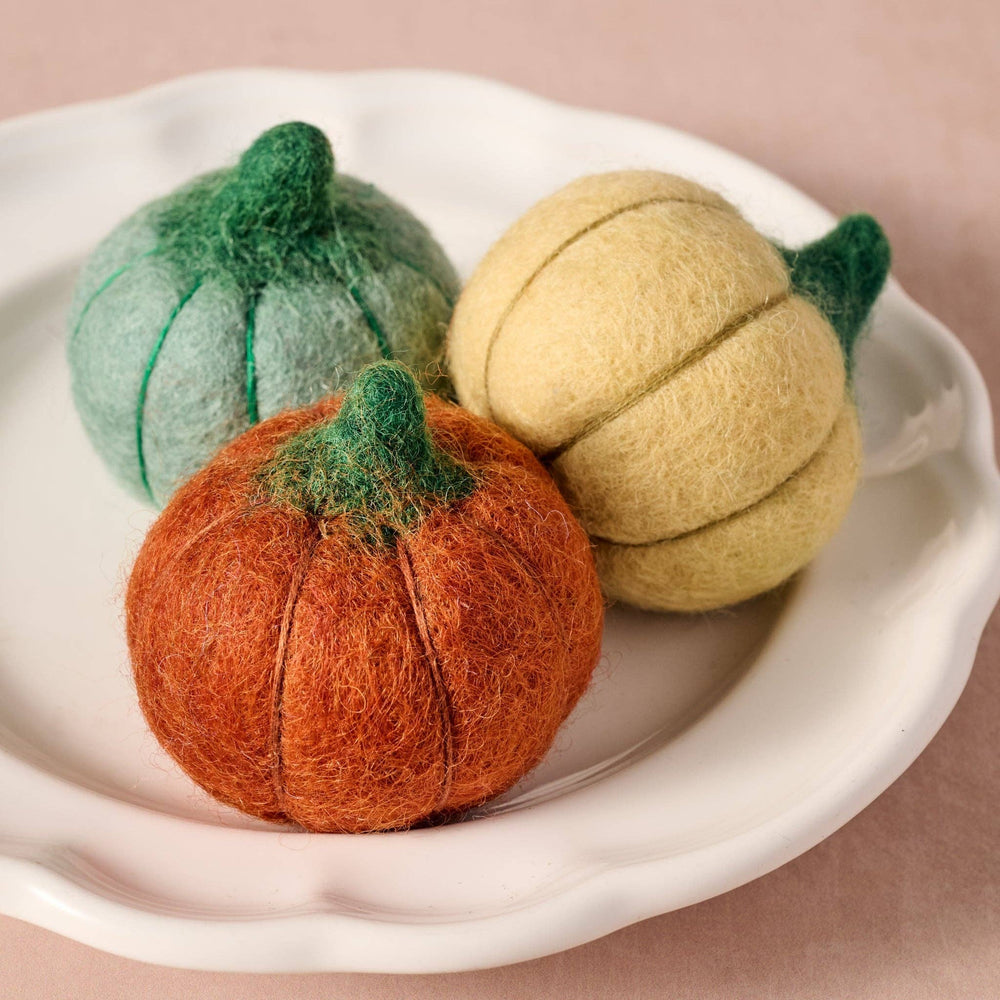 Sapha Pumpkin Felted Soaps Set
