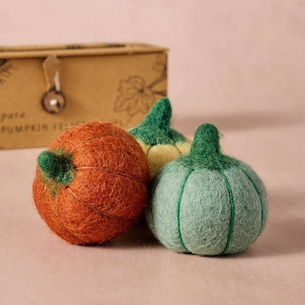 Sapha Pumpkin Felted Soaps Set