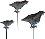 Quail Garden Stakes