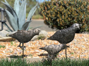 Quail Garden Stakes