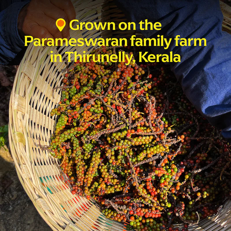 Aranya Black Pepper (Whole)