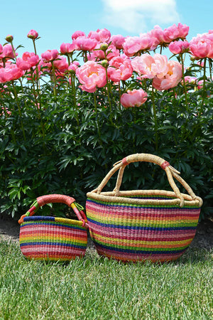 Rainbow Chaser Basket