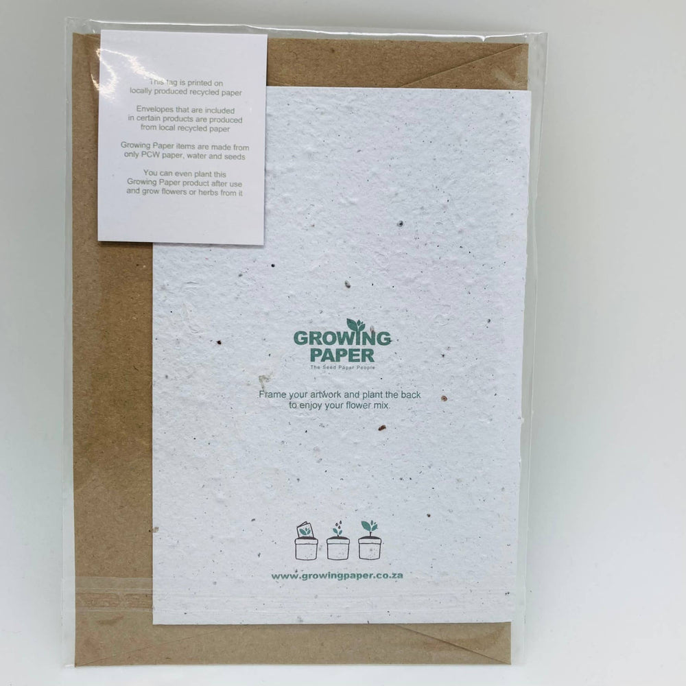 Growing Paper Christmas Cards