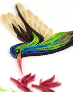 Broad-billed Hummingbird Quilling Card