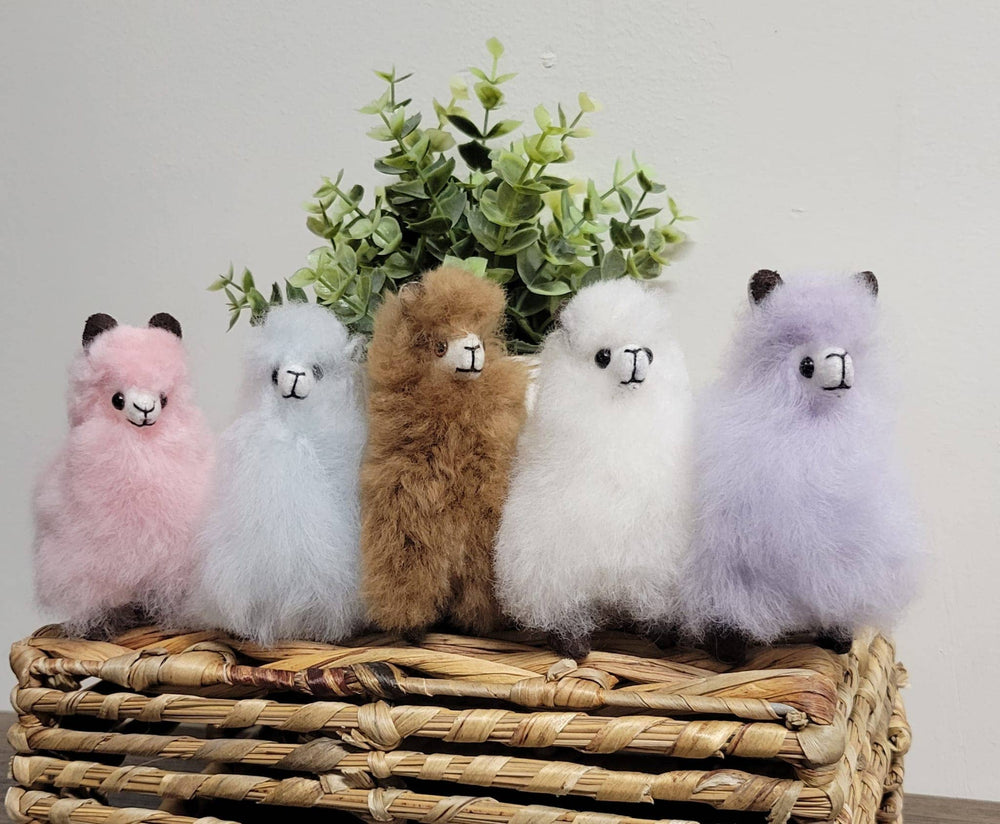 
                
                    Load image into Gallery viewer, Tiny Alpaca Stuffie
                
            