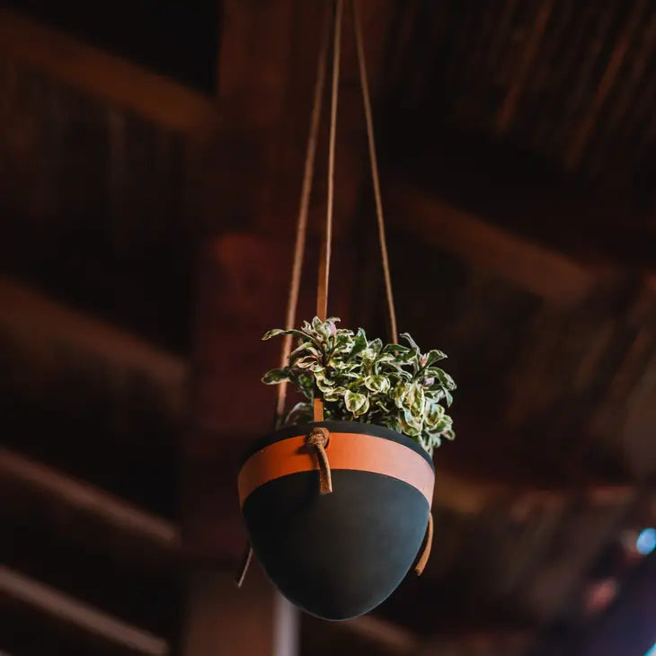 Small Hanging Planter