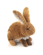 Buri Bunny