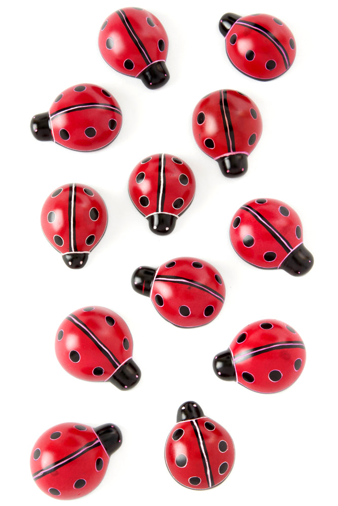 
                
                    Load image into Gallery viewer, Good Luck Ladybug
                
            